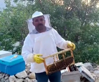 Kahramanmarasta Ayi Saldirisi Aricinin 100 Bin Lira Zarar Ettigi Iddia