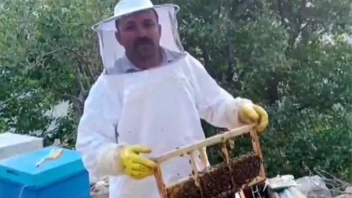 Kahramanmarasta Ayi Saldirisi Aricinin 100 Bin Lira Zarar Ettigi Iddia