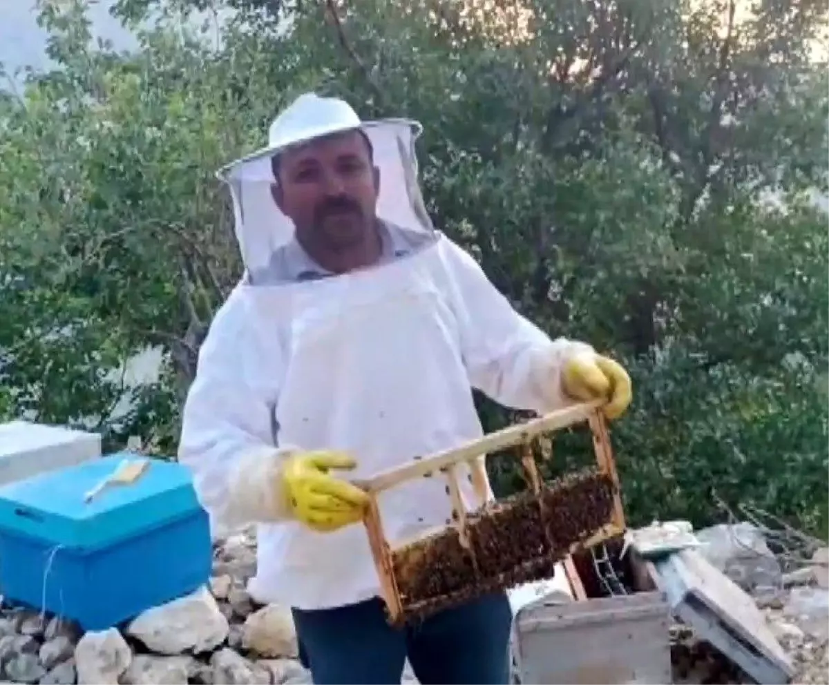 Kahramanmarasta Ayi Saldirisi Aricinin 100 Bin Lira Zarar Ettigi Iddia