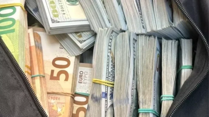 Kapikule Sinir Kapisinda 740 Bin Dolar ve 672 Gram Altin
