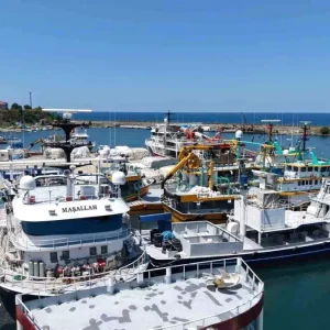 Karadeniz Balikcilarindan Yeni Sezon Umutlari