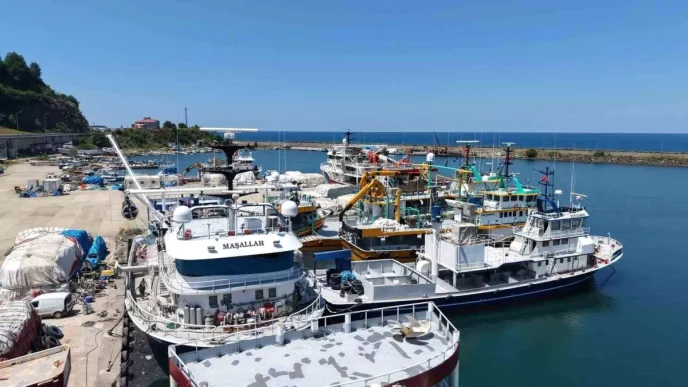 Karadeniz Balikcilarindan Yeni Sezon Umutlari