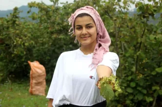 Karadenizde Findik Hasadi Basladi Haberler