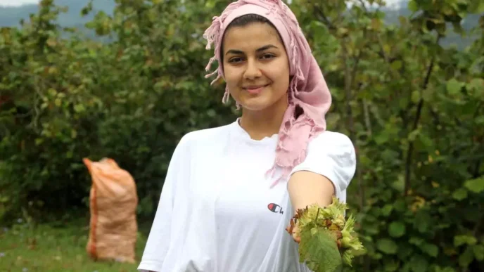 Karadenizde Findik Hasadi Basladi Haberler