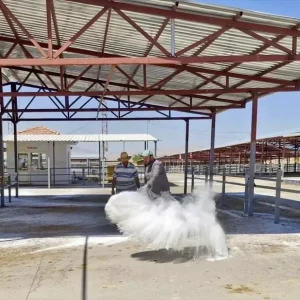 Kirsehir Canli Hayvan Pazari Sap Hastaligi Tedbirleri Sonrasi Yeniden Aciliyor
