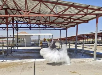 Kirsehir Canli Hayvan Pazari Sap Hastaligi Tedbirleri Sonrasi Yeniden Aciliyor