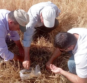 Kutahyada Dolu ve Sel Afeti Sonrasi Hasar Tespit Calismalari Basladi