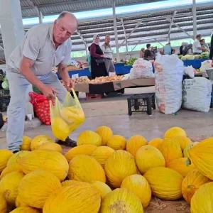 Kutahyada Yerli Kavun Hizla Tukeniyor