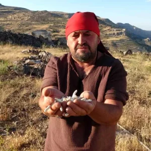 Malatyanin Kenger Sakizi Fiyatlari Altinla Yarisiyor