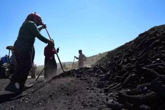 Mardinden Ankaraya Mangal Komuru Icin Goc Eden Mevsimlik Isciler