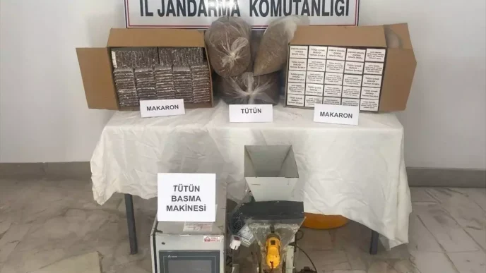 Mersinde Gumruk Kacagi Tutun Operasyonu 2 Supheli Gozaltinda