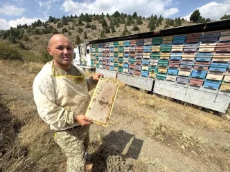 Mobil tir ile bal uretiyor kovanlari indirmeden Toros Daglarini karis