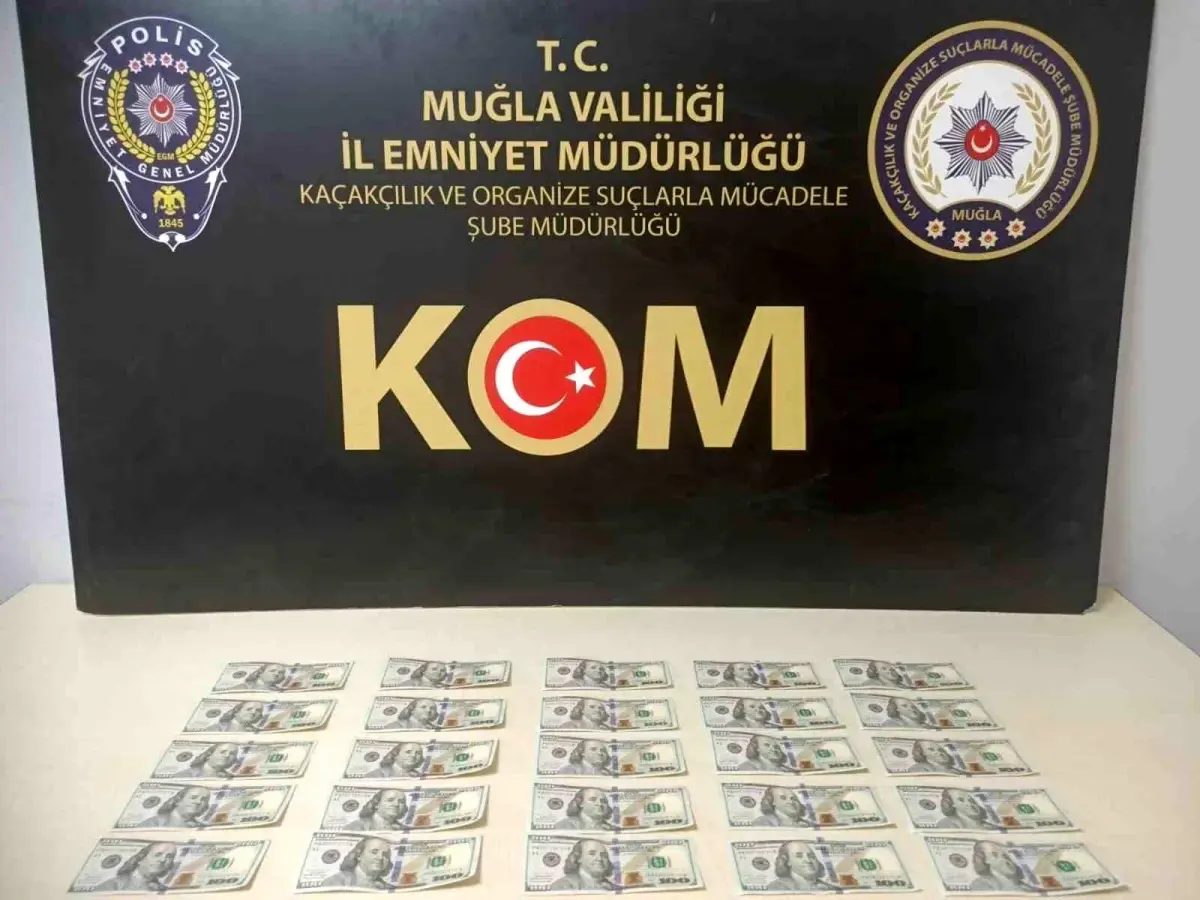 Muglada Piyasaya Sahte Dolar Suren Sahis Yakalandi