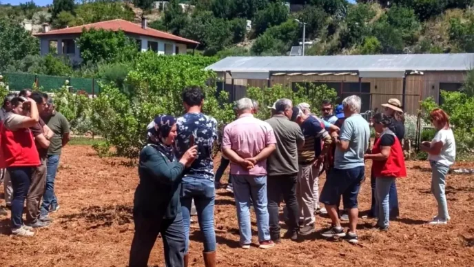 Muglada Sakiz Agaci Yetistiriciligi Icin Tarla Gunu Duzenlendi