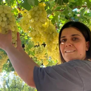 Muhtar Ayse Yilmaz Gonen Bagcilikta Basari Gosteriyor