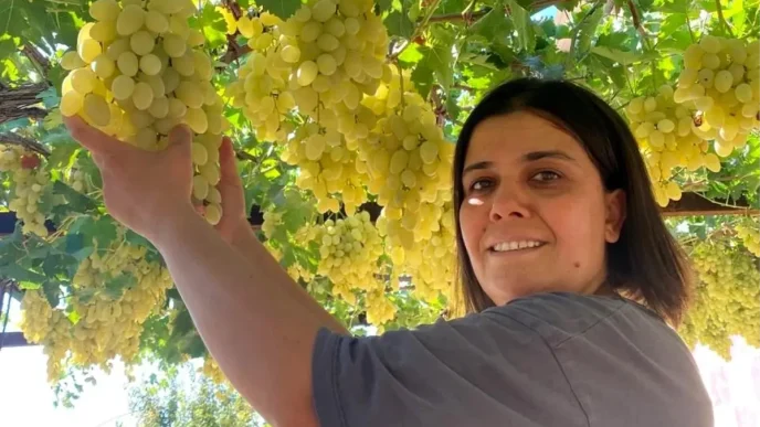 Muhtar Ayse Yilmaz Gonen Bagcilikta Basari Gosteriyor