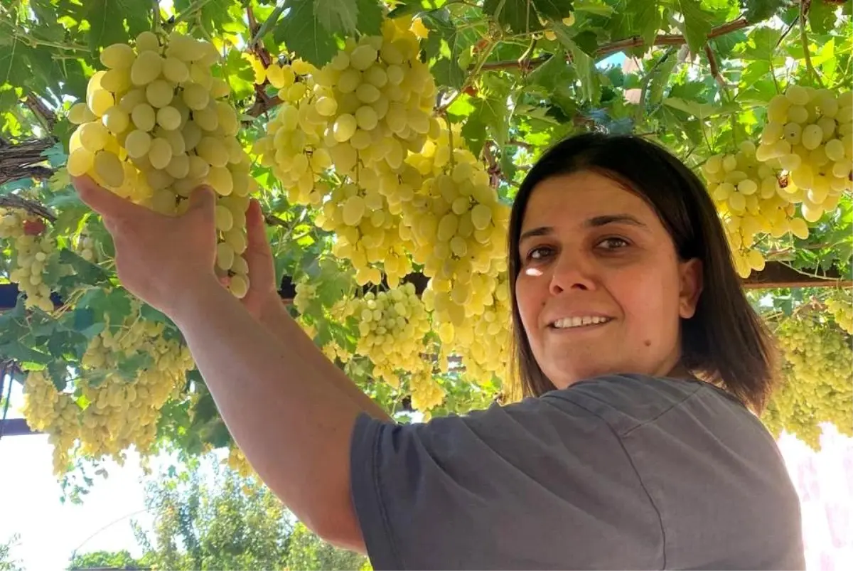Muhtar Ayse Yilmaz Gonen Bagcilikta Basari Gosteriyor