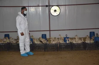 Musta Kaz Yetistiriciligi Projesi Kapanis Programi Duzenlendi