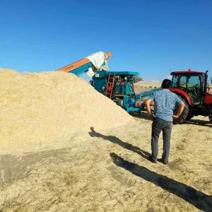 Musta Saman Fiyatlari Yukseldi Ciftciler Yuzde Guluyor