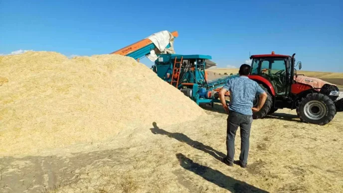 Musta Saman Fiyatlari Yukseldi Ciftciler Yuzde Guluyor