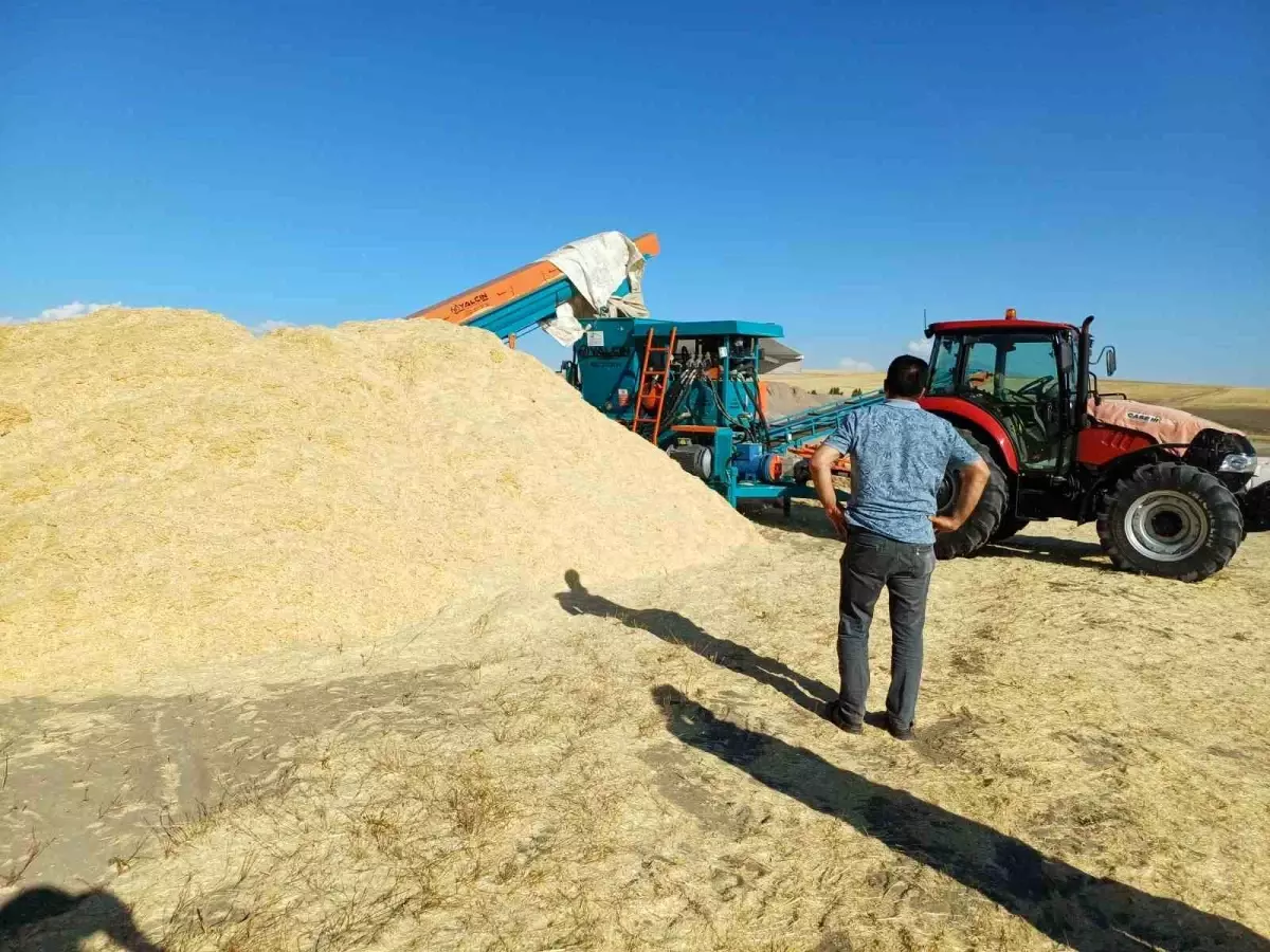 Musta Saman Fiyatlari Yukseldi Ciftciler Yuzde Guluyor