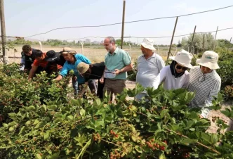 Nigde Omer Halisdemir Universitesinde Jumbo Bogurtlen Hasadi Basladi