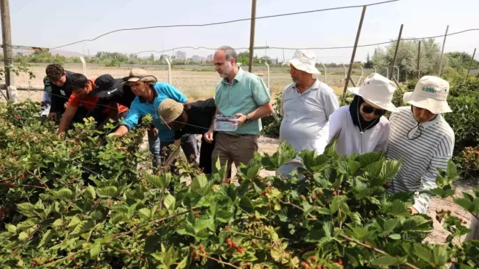 Nigde Omer Halisdemir Universitesinde Jumbo Bogurtlen Hasadi Basladi