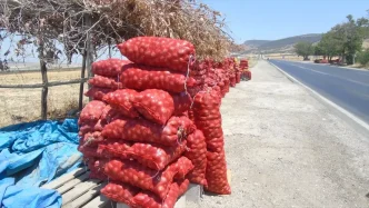 Nurdaginda Ciftci Harun Ibili Sogan Hasadini Yol Kenarinda Satisa Sunuyor