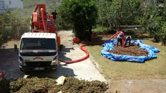 Orduda Findik Hasadi Devam Ediyor Patozcularin Saatlik Ucreti 4500 TL