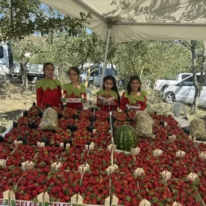 Samsun Alacamda Cilek Festivali Duzenlendi