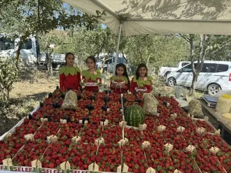 Samsun Alacamda Cilek Festivali Duzenlendi
