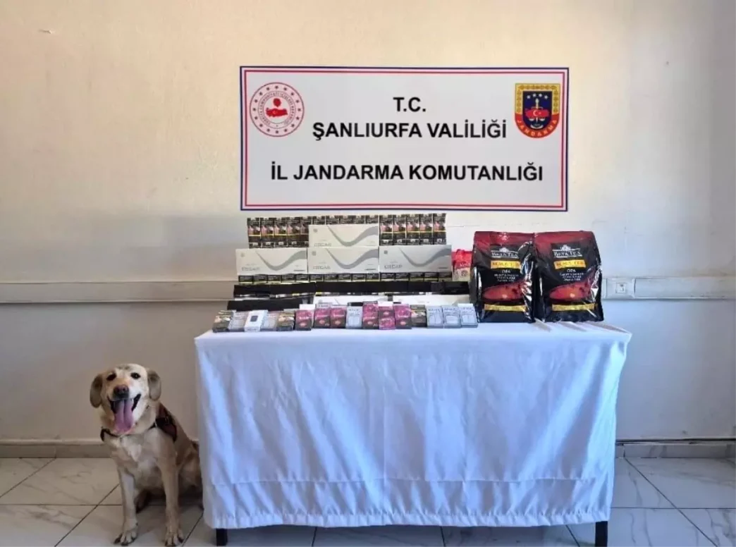 Sanliurfada Gumruk Kacagi Urunlere Onemli Darbe