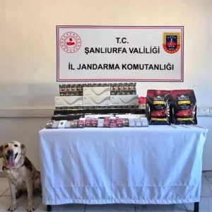 Sanliurfada Gumruk Kacagi Urunlere Onemli Darbe