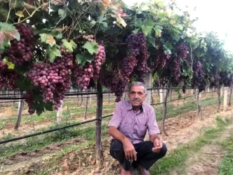 Sarigol Ziraat Odasindan TARISe Kuru Uzum Fiyat Elestirisi