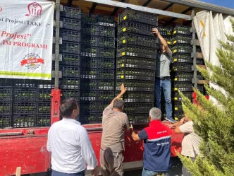 Siirtte 50 Ureticiye Marul ve Karnabahar Fidesi Dagitildi