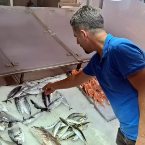 Sinopta Palamut Fiyatlari 350 Lira Az Avlaniyor