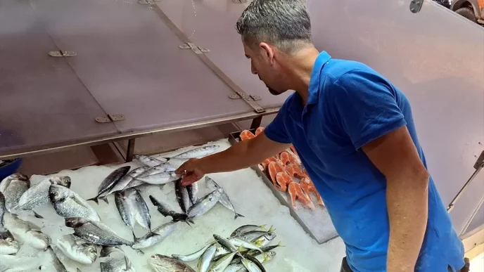 Sinopta Palamut Fiyatlari 350 Lira Az Avlaniyor