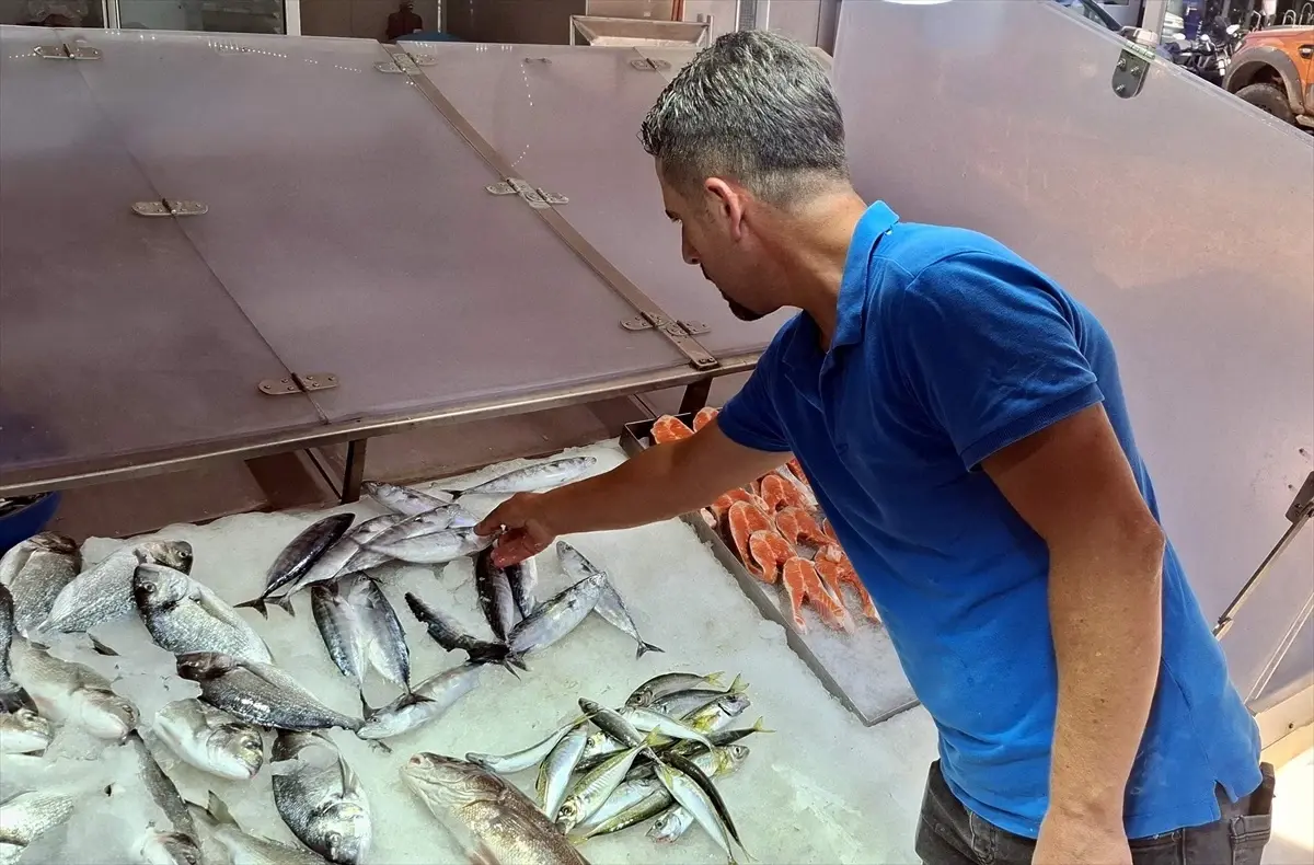 Sinopta Palamut Fiyatlari 350 Lira Az Avlaniyor