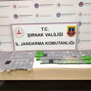 Sirnakta 8 Milyon TL Degerinde Kacak Urun Ele Gecirildi