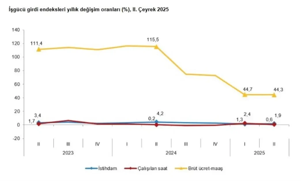 TUIK 2025 2 Ceyrek Istihdam Endeksini Acikladi