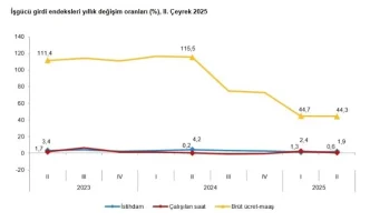 TUIK 2025 2 Ceyrek Istihdam Endeksini Acikladi