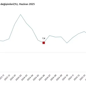 TUIK Insaat Uretimi Yillik 249 Artti