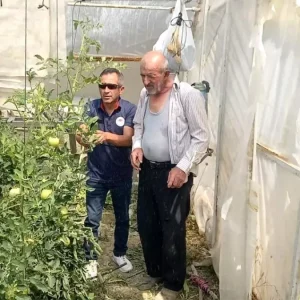Tavsanlida Seralarda Bitki Hastalik ve Zararli Kontrolleri Yapildi