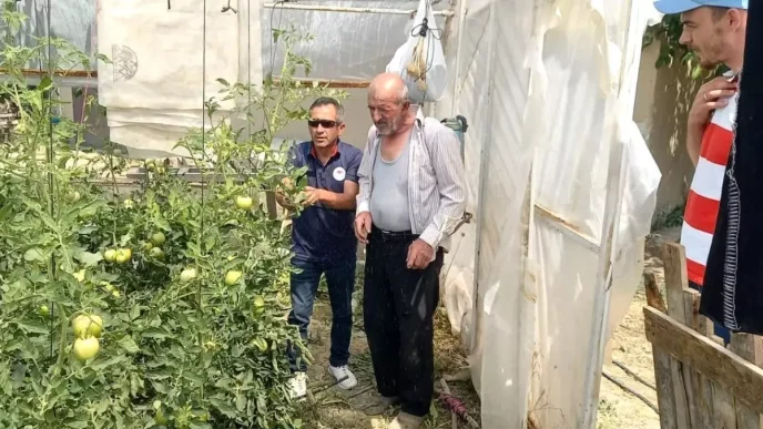 Tavsanlida Seralarda Bitki Hastalik ve Zararli Kontrolleri Yapildi