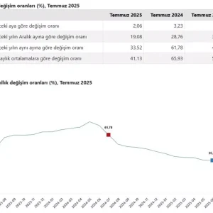 Temmuz Ayi Tuketici Enflasyonu Yillik Yuzde 3352 Oldu