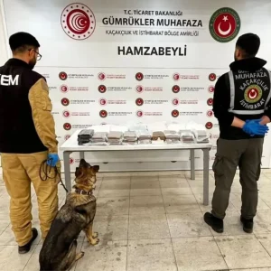 Turkiyede Uyusturucu Kacakciligi Esrar ve Metamfetamin Carpici Artis Gosterdi