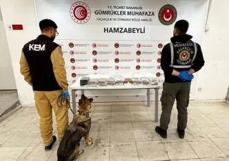 Turkiyede Uyusturucu Kacakciligi Esrar ve Metamfetamin Carpici Artis Gosterdi