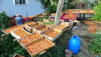 Vanda Kayisi Kurutma Donemi Yeni Cozumler Devreye Girdi
