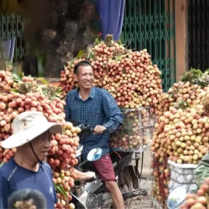 Vietnam Basbakanindan ABD ile Gumruk Vergisi Muzakereleri Talimati