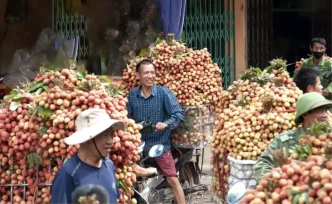 Vietnam Basbakanindan ABD ile Gumruk Vergisi Muzakereleri Talimati